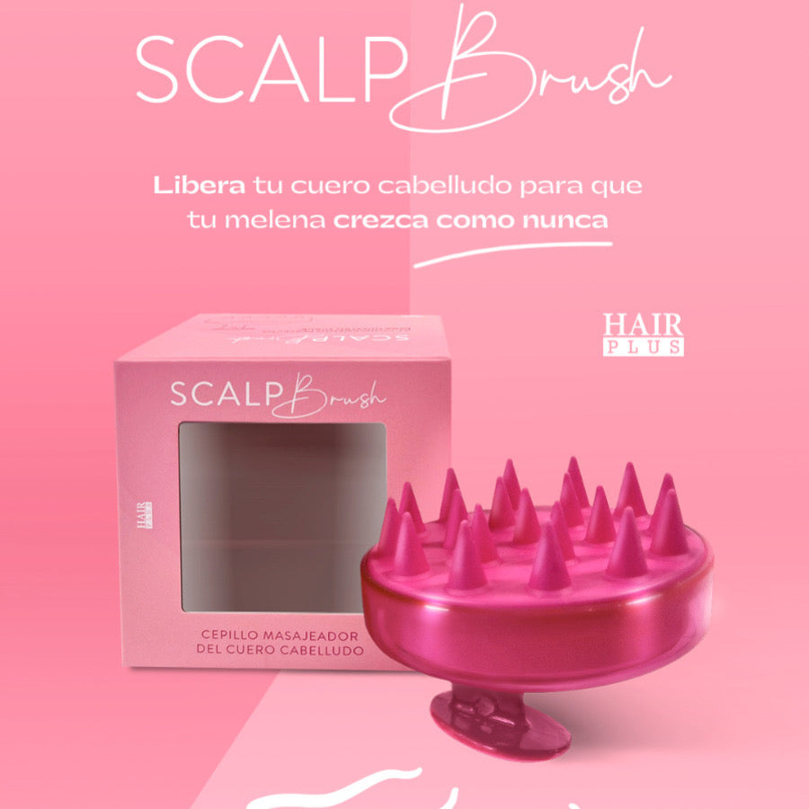 SCALP BRUSH
